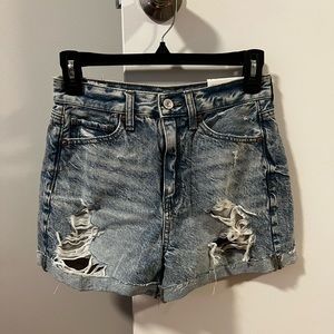 NWT American Eagle High Waisted Mom Short Size 2